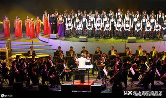 三叔咨詢 營業性演出許可證辦理后可以從事哪些業務？